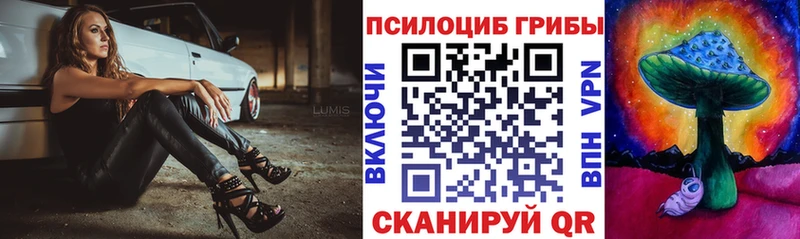 Псилоцибиновые грибы мицелий Сухой Лог